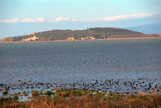 Lago Trasimeno